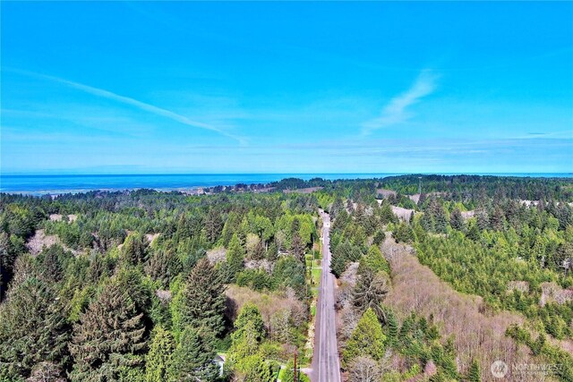 31 Ocean Beach Rd, Pacific Beach, WA 98571