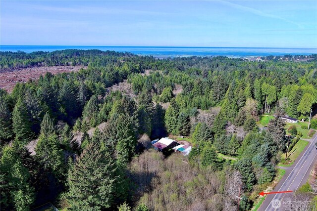 31 Ocean Beach Rd, Pacific Beach, WA 98571