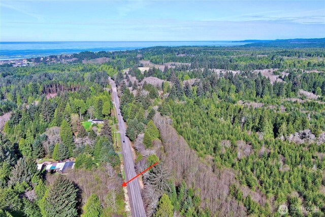31 Ocean Beach Rd, Pacific Beach, WA 98571