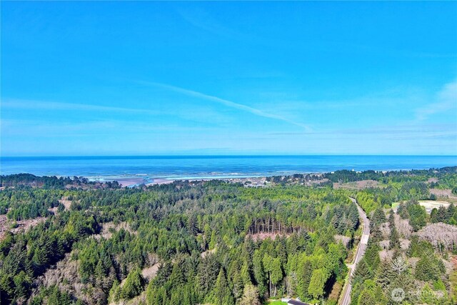 31 Ocean Beach Rd, Pacific Beach, WA 98571