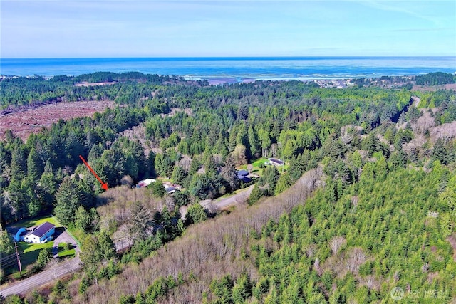 31 Ocean Beach Rd, Pacific Beach, WA 98571