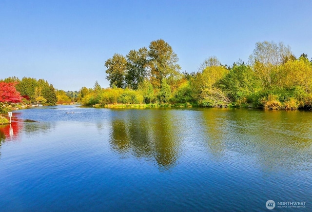 7217 NE 175th St Unit 211, Kenmore, WA 98028 - water view featuring a forest