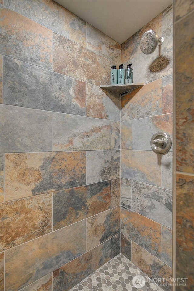 34 4th St S, Pacific Beach, WA 98571 - interior details with a tile shower