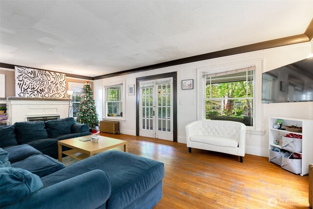 5019 17th Ave NE, Seattle, WA 98105 - living room with radiator, wood finished floors, baseboards, and a fireplace
