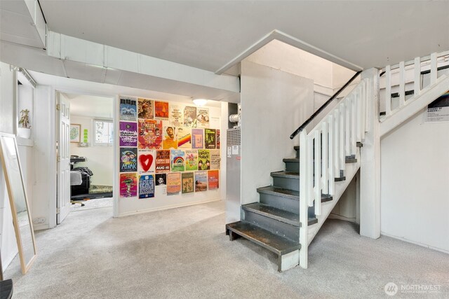 5019 17th Ave NE, Seattle, WA 98105 - staircase featuring carpet floors
