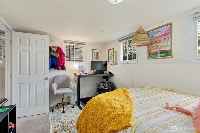 5019 17th Ave NE, Seattle, WA 98105 - carpeted bedroom featuring multiple windows
