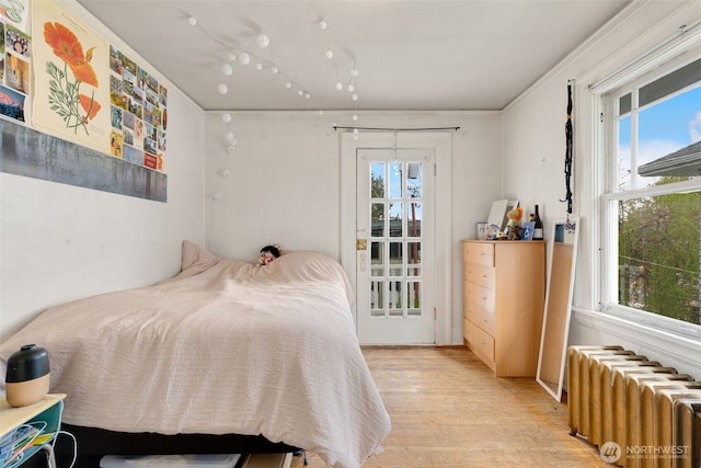 5019 17th Ave NE, Seattle, WA 98105 - bedroom with radiator heating unit, light wood finished floors, and rail lighting