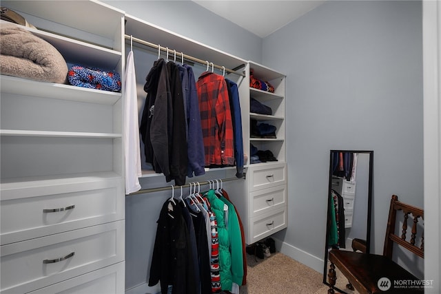 walk in closet featuring carpet