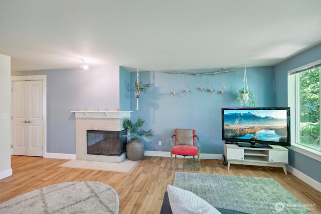 300 N 130th St Unit 8302, Seattle, WA 98133 - living area with wood finished floors, a tiled fireplace, and baseboards