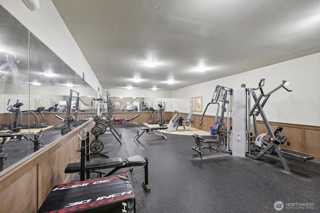 300 N 130th St Unit 8302, Seattle, WA 98133 - gym with a wainscoted wall