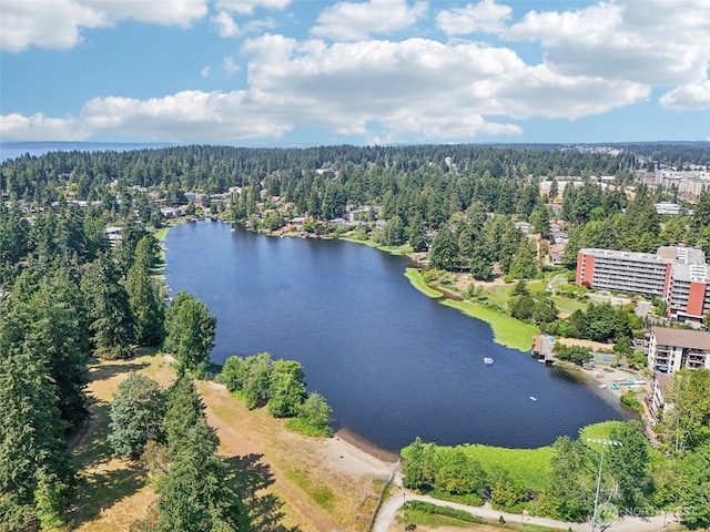 300 N 130th St Unit 8302, Seattle, WA 98133 - aerial view of a forest and a nearby body of water