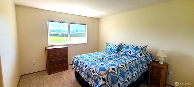 bedroom with carpet