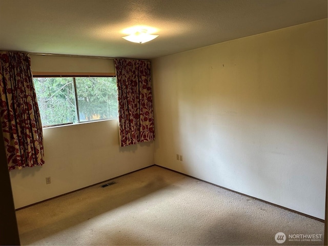 13032 27th Ave NE, Seattle, WA 98125 - photo 14