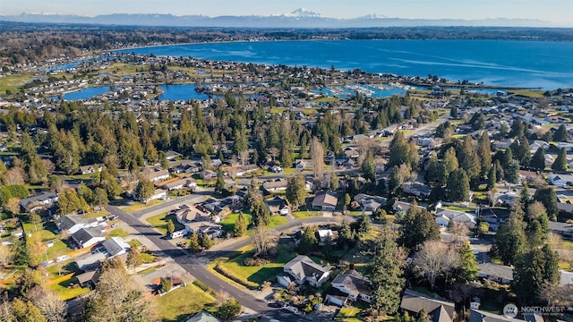 8148 Quinault Rd, Blaine, WA 98230 - birds eye view of property with a water view and a residential view