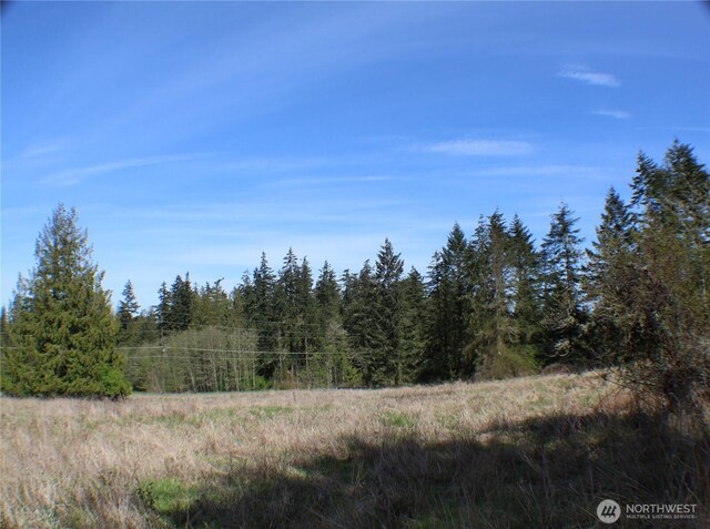 999 Oso Vista Ct, Sequim, WA 98382 - photo 1