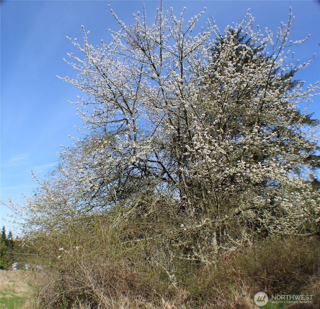 999 Oso Vista Ct, Sequim, WA 98382 - photo 2