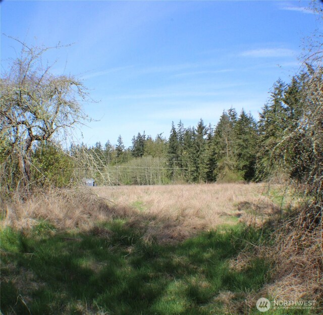 999 Oso Vista Ct, Sequim, WA 98382 - photo 3