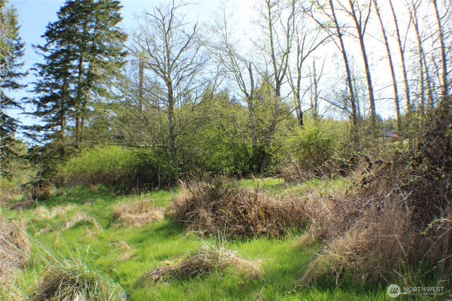 999 Oso Vista Ct, Sequim, WA 98382 - photo 4