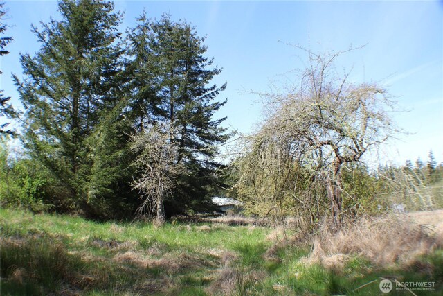 999 Oso Vista Ct, Sequim, WA 98382 - photo 6