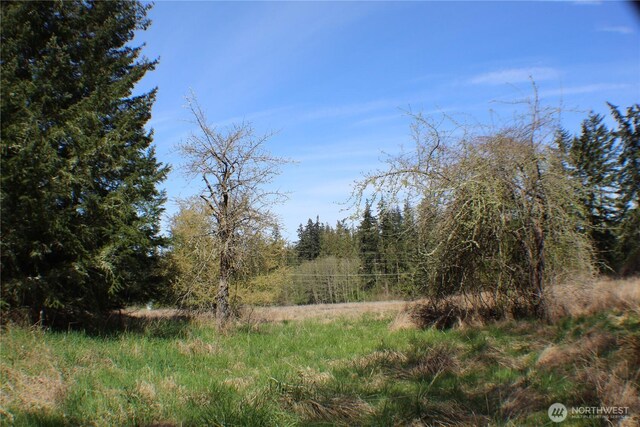 999 Oso Vista Ct, Sequim, WA 98382 - photo 7