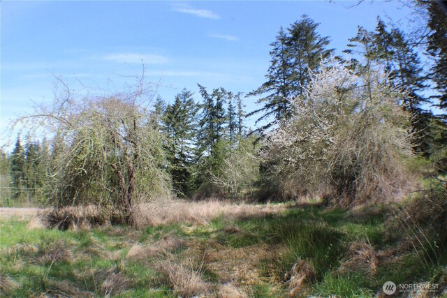 999 Oso Vista Ct, Sequim, WA 98382 - photo 8