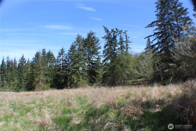 999 Oso Vista Ct, Sequim, WA 98382 - photo 9