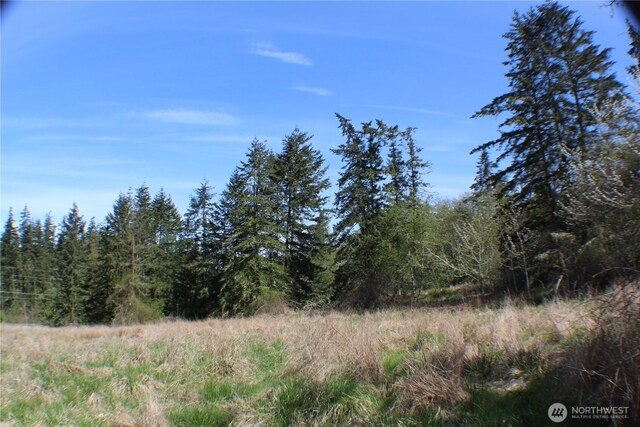 999 Oso Vista Ct, Sequim, WA 98382 - photo 10