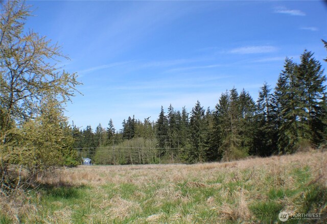 999 Oso Vista Ct, Sequim, WA 98382 - photo 11