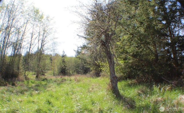 999 Oso Vista Ct, Sequim, WA 98382 - photo 12