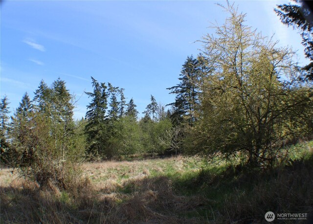 999 Oso Vista Ct, Sequim, WA 98382 - photo 15