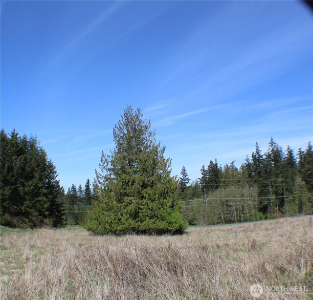 999 Oso Vista Ct, Sequim, WA 98382 - photo 16