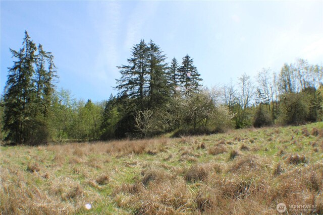 999 Oso Vista Ct, Sequim, WA 98382 - photo 17
