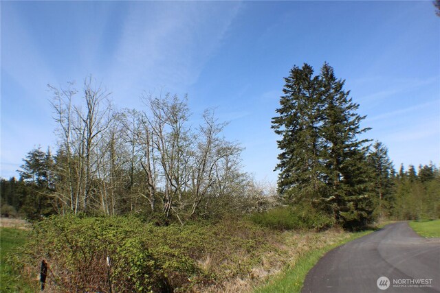 999 Oso Vista Ct, Sequim, WA 98382 - photo 19