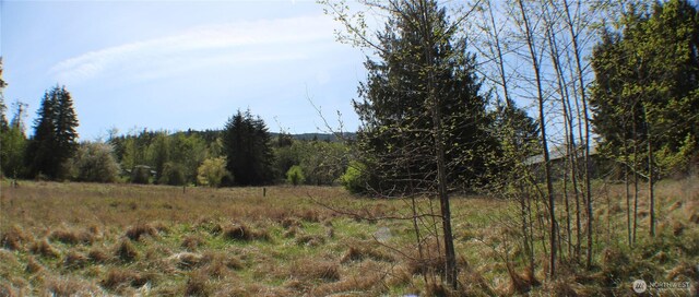 999 Oso Vista Ct, Sequim, WA 98382 - photo 21
