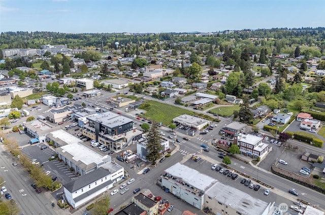 22332 10th Ave S, Des Moines, WA 98198 - aerial view