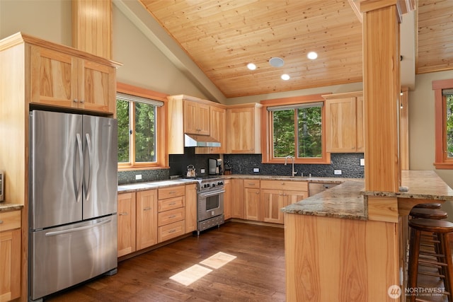 17650 Roaring Creek Rd, Leavenworth, WA 98826 - kitchen featuring light stone countertops, a peninsula, light brown cabinetry, and stainless steel appliances