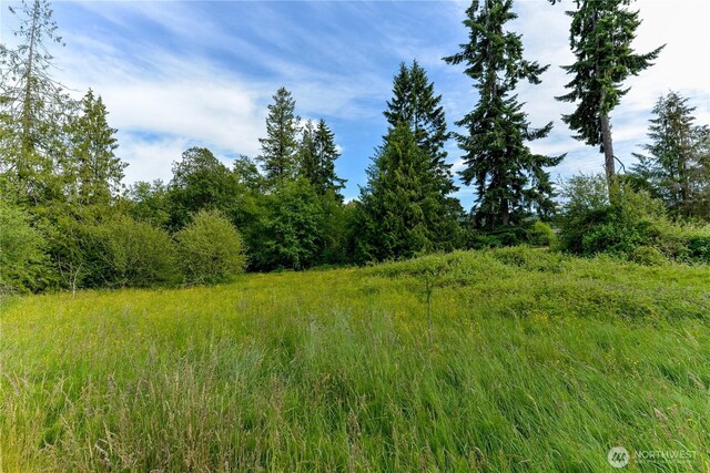 4109 S Reddick Rd, Port Angeles, WA 98363 - view of local wilderness