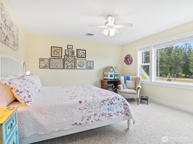 5 Emma Ln, Trout Lake, WA 98650 - photo 18