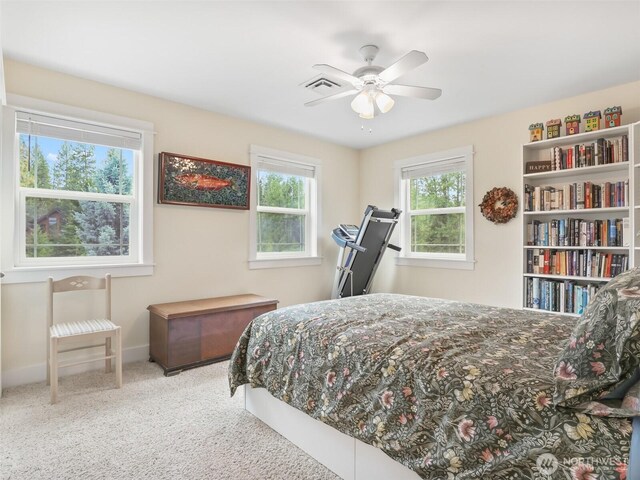 5 Emma Ln, Trout Lake, WA 98650 - photo 25