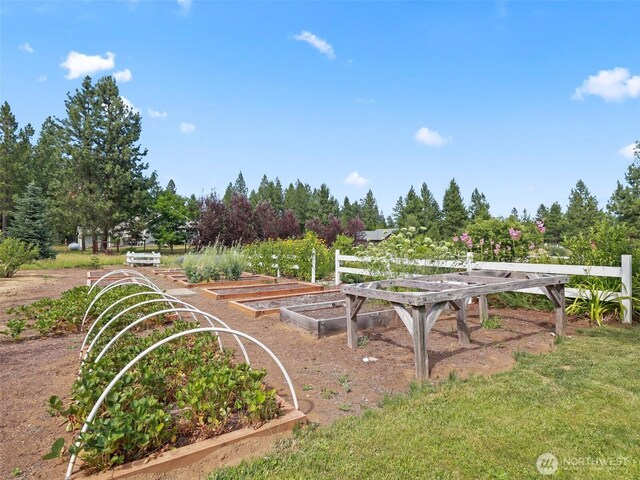 5 Emma Ln, Trout Lake, WA 98650 - photo 35