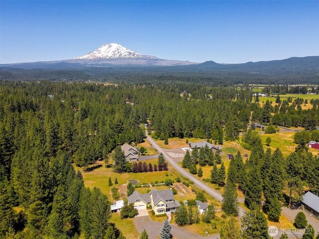 5 Emma Ln, Trout Lake, WA 98650 - photo 37