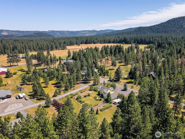 5 Emma Ln, Trout Lake, WA 98650 - photo 38