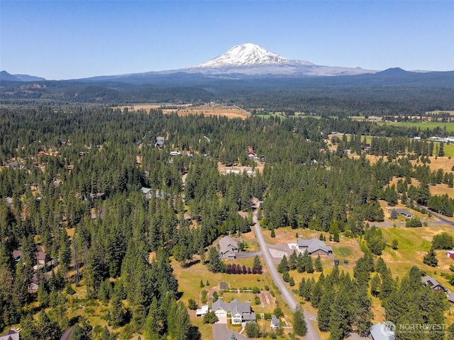 5 Emma Ln, Trout Lake, WA 98650 - photo 39