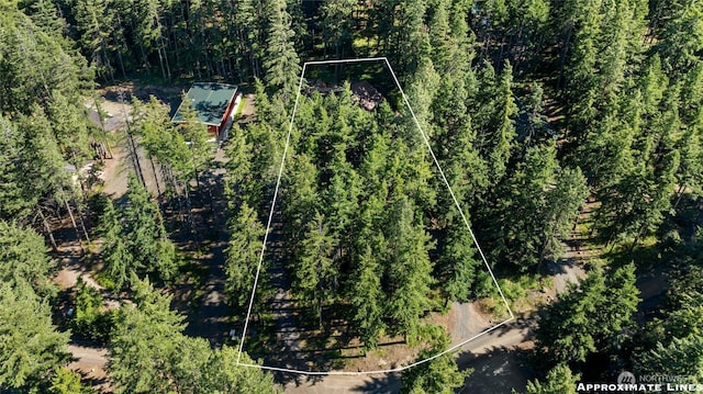 1600 Skull Springs Rd, Cle Elum, WA 98922 - photo 33