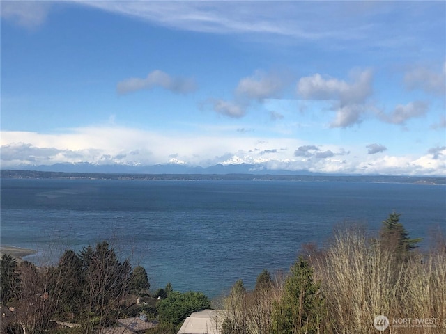 property view of water featuring a mountain view