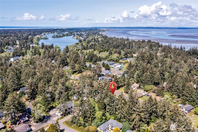 929 Discovery Ave SE, Ocean Shores, WA 98569 - aerial overview of property's location with a large body of water and a heavily wooded area