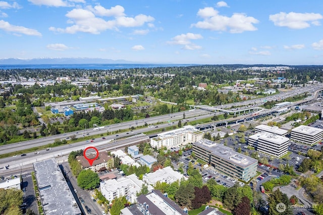 drone / aerial view