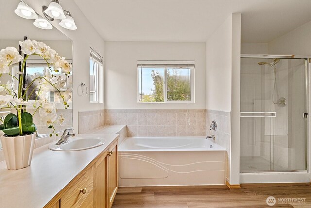 bathroom featuring healthy amount of natural light, wood finished floors, a shower stall, and vanity