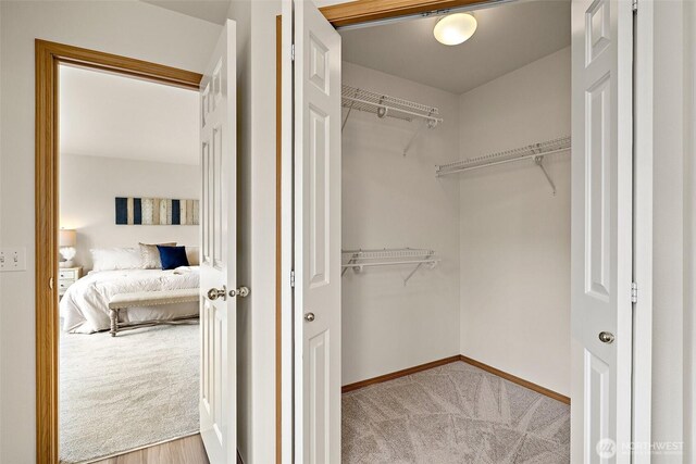 walk in closet with carpet floors