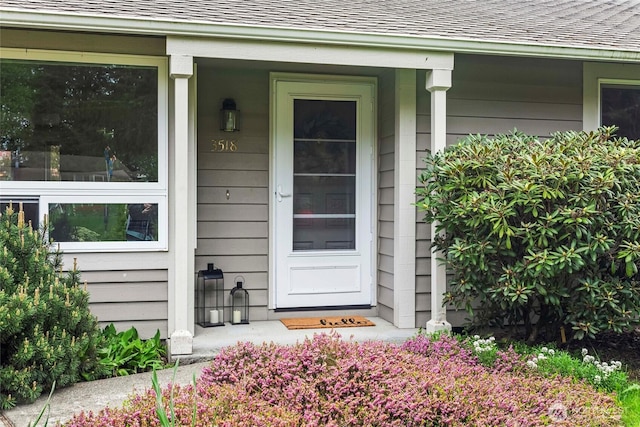 entrance to property featuring a porch and roof with shingles